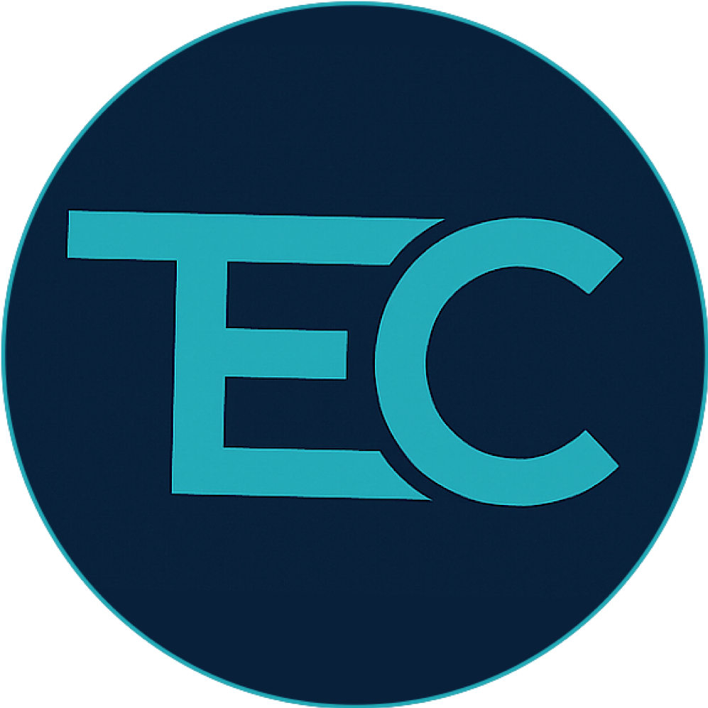 Tafanelli Expertise Conseils