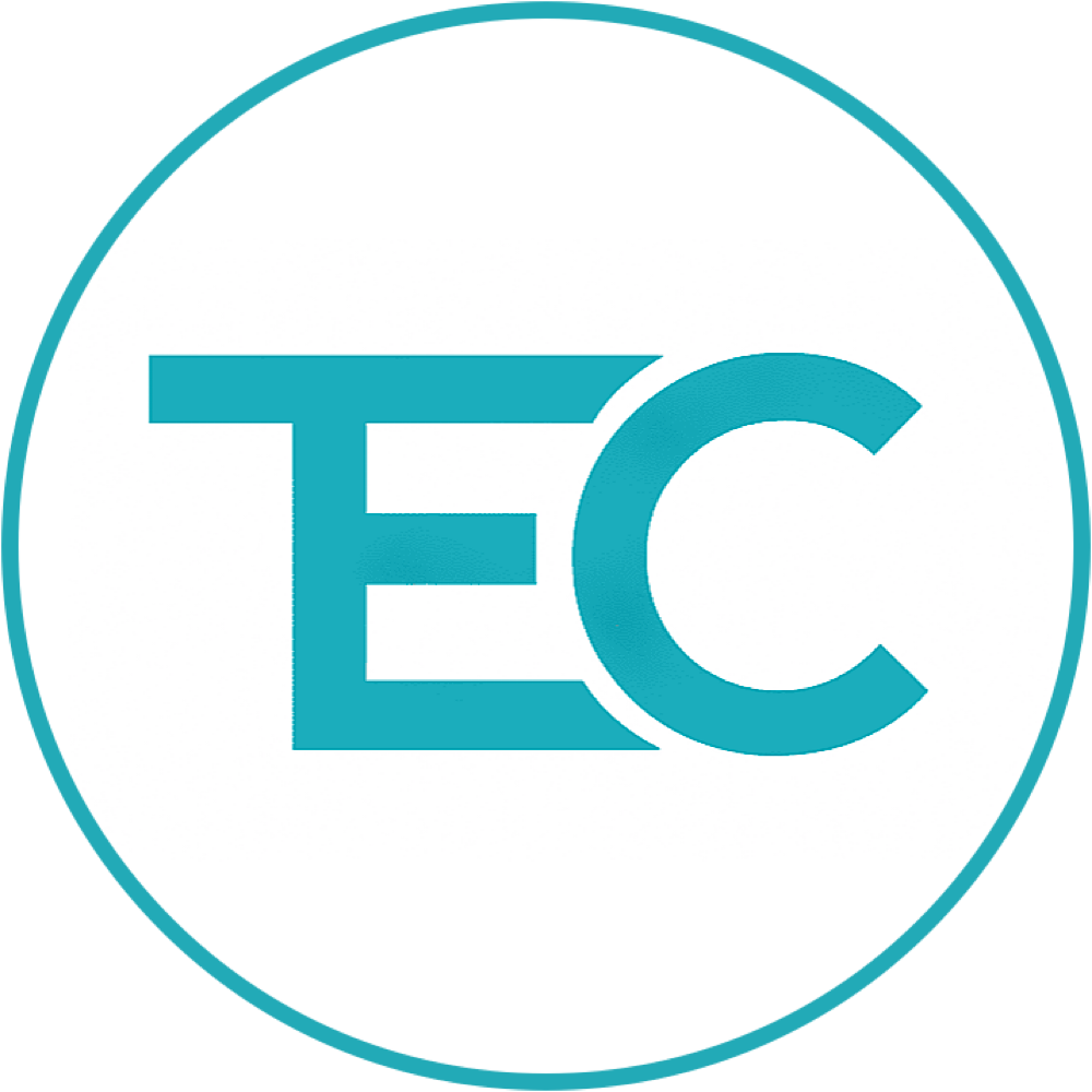 Tafanelli Expertise Conseils