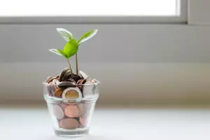 Tafanelli Expertise Conseils économie
